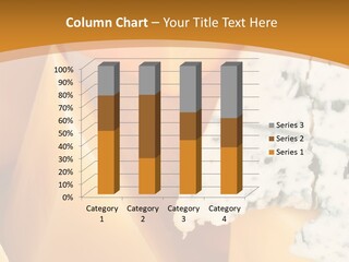 Hole Delicious Cheddar PowerPoint Template