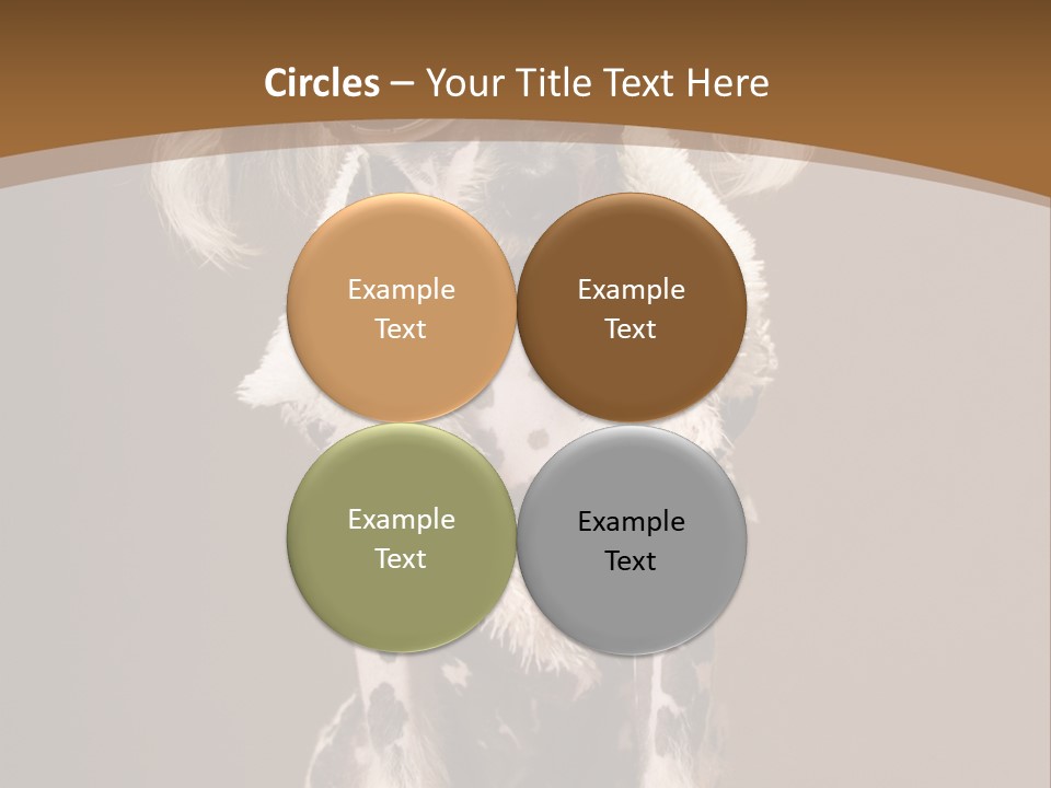 Fashion Clothes Male PowerPoint Template