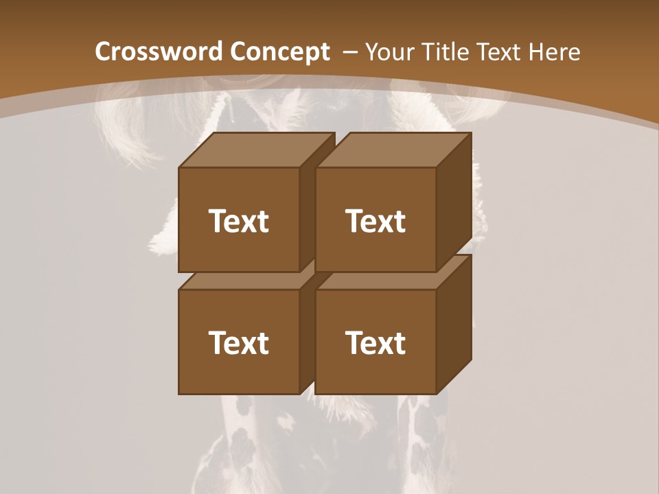 Fashion Clothes Male PowerPoint Template