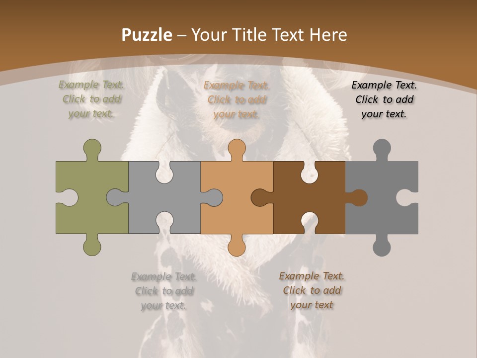 Fashion Clothes Male PowerPoint Template