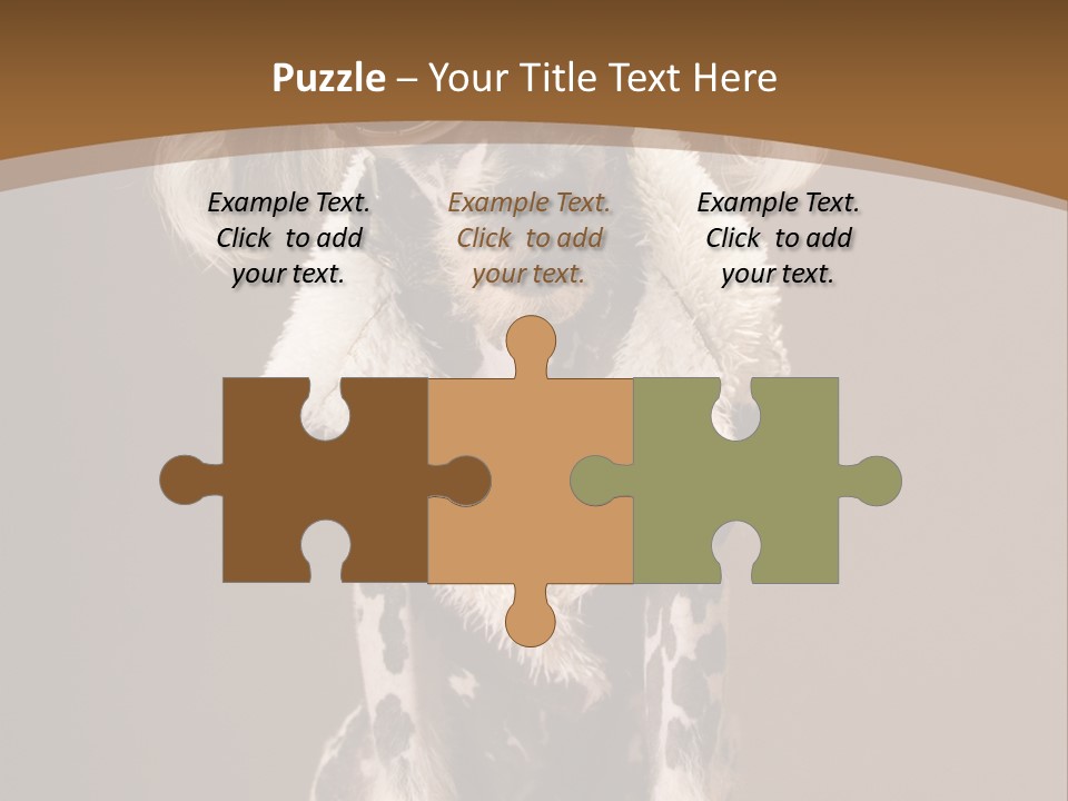 Fashion Clothes Male PowerPoint Template