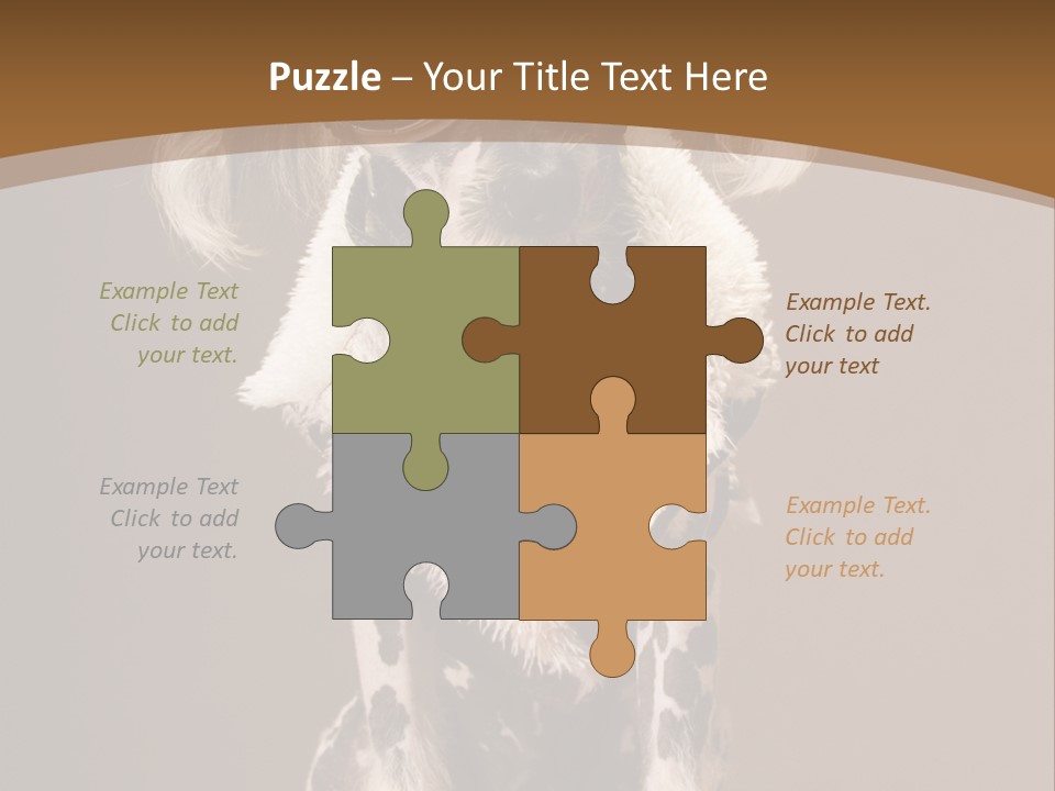 Fashion Clothes Male PowerPoint Template