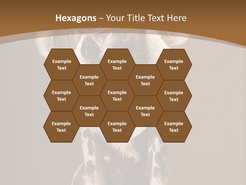 Fashion Clothes Male PowerPoint Template