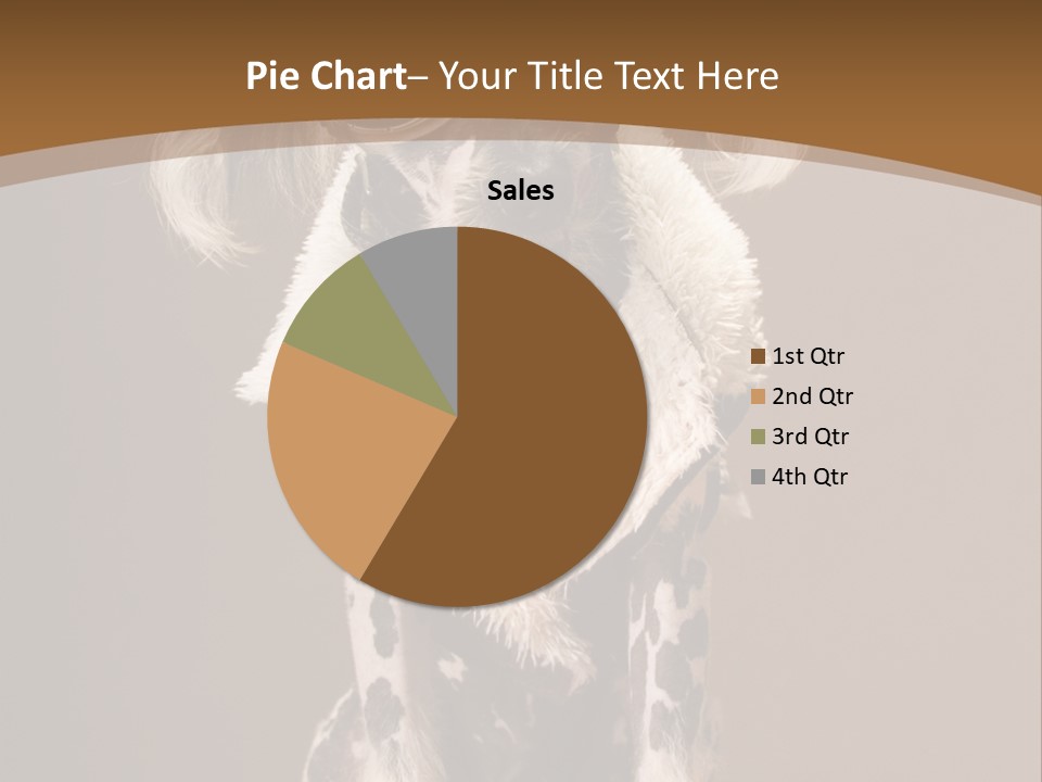 Fashion Clothes Male PowerPoint Template