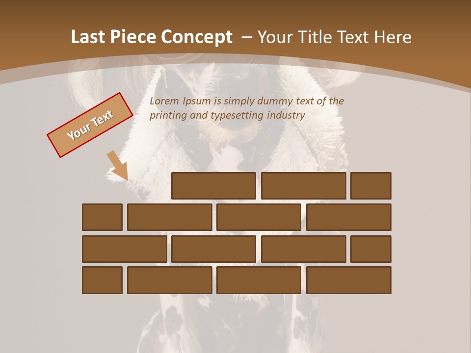 Fashion Clothes Male PowerPoint Template