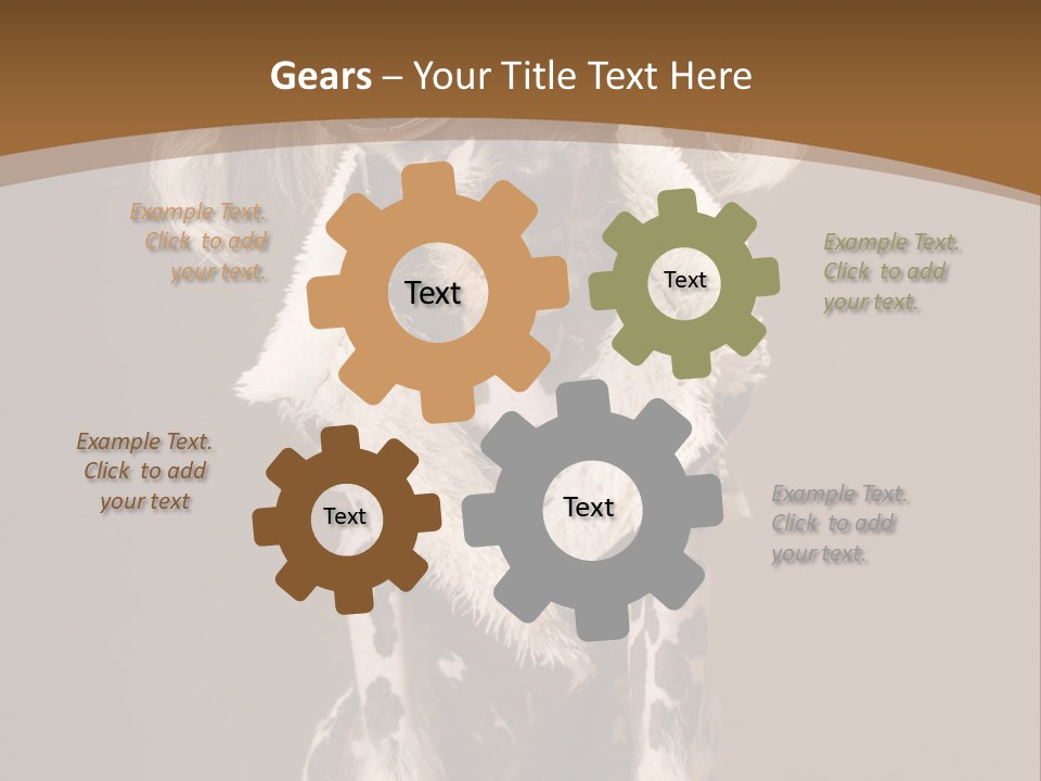 Fashion Clothes Male PowerPoint Template