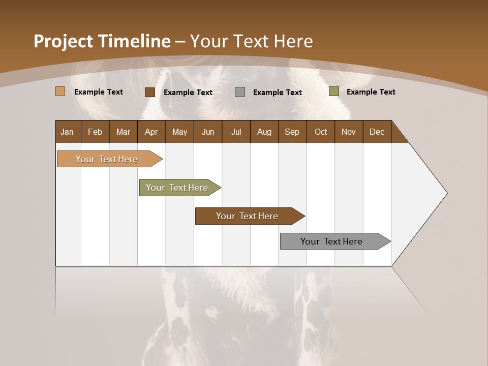 Fashion Clothes Male PowerPoint Template