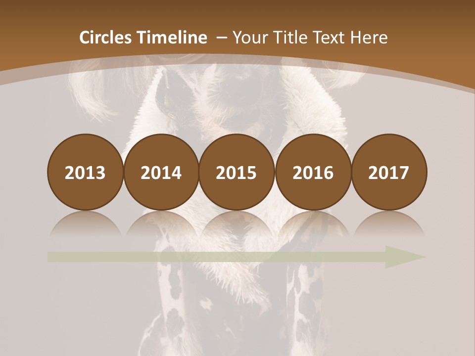 Fashion Clothes Male PowerPoint Template