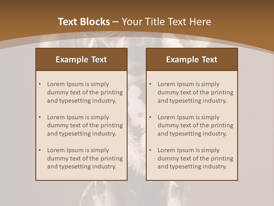 Fashion Clothes Male PowerPoint Template