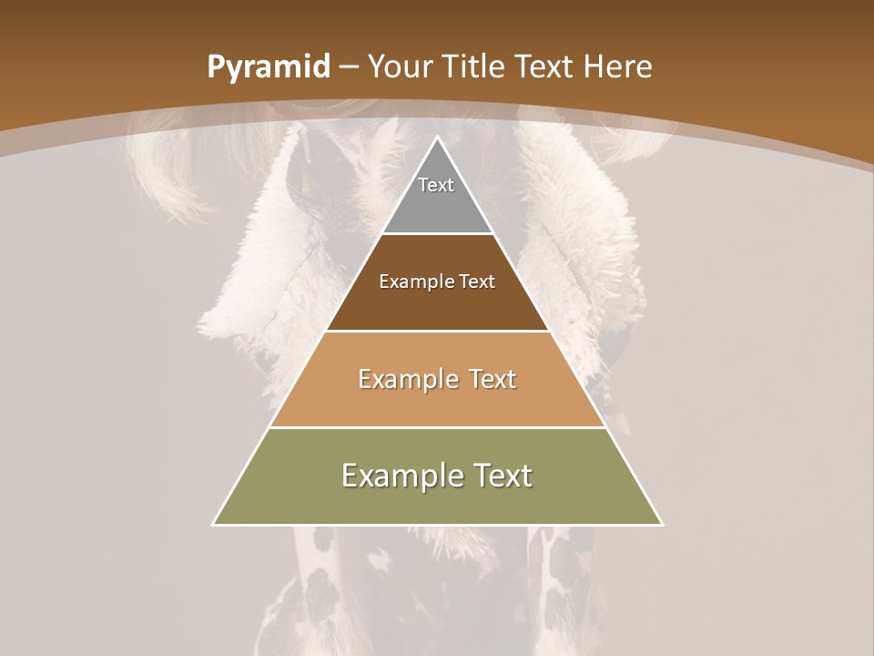 Fashion Clothes Male PowerPoint Template