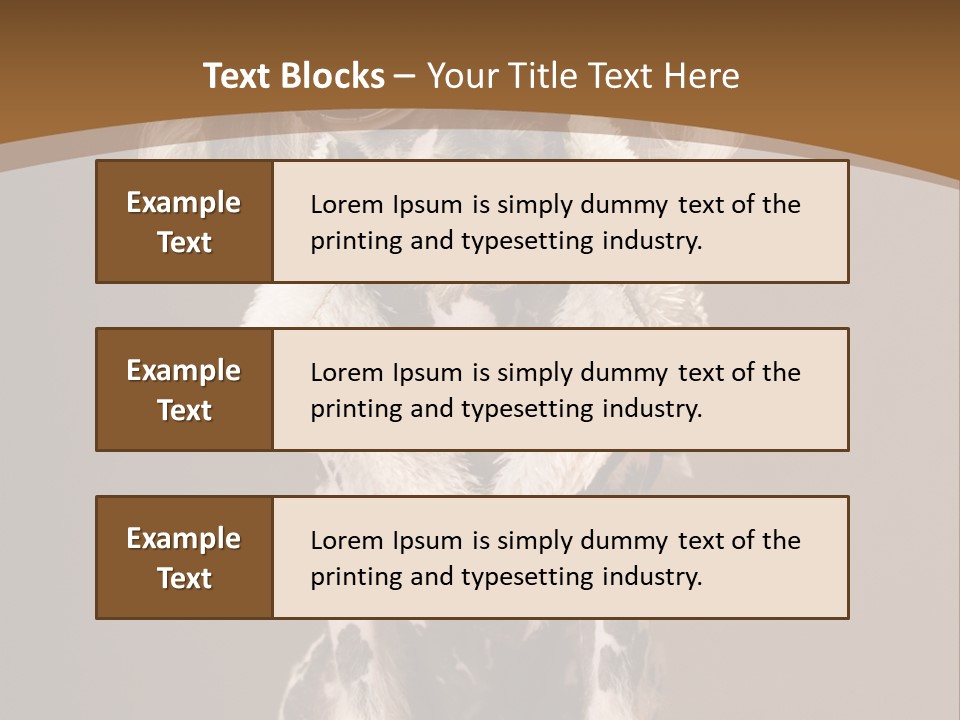 Fashion Clothes Male PowerPoint Template