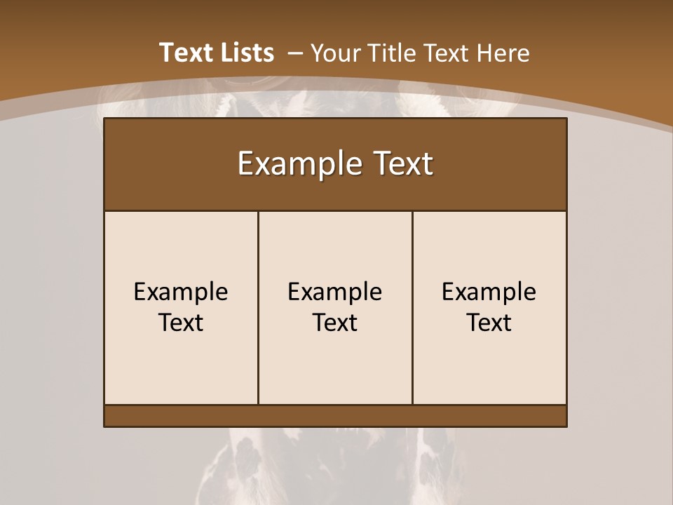 Fashion Clothes Male PowerPoint Template
