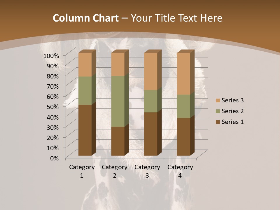 Fashion Clothes Male PowerPoint Template