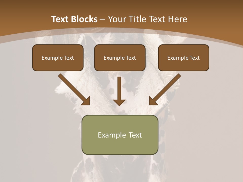 Fashion Clothes Male PowerPoint Template