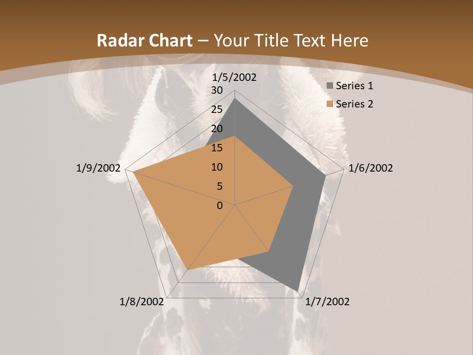 Fashion Clothes Male PowerPoint Template