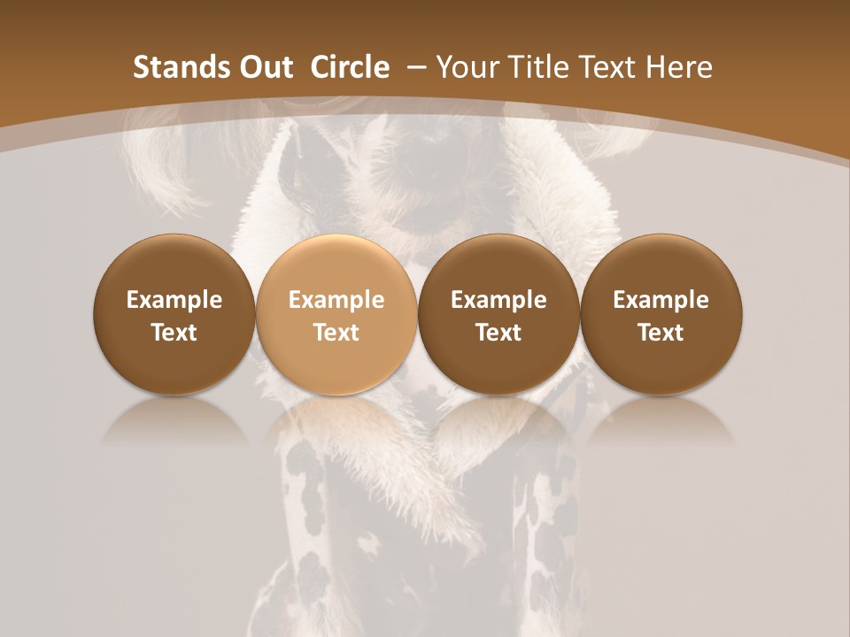 Fashion Clothes Male PowerPoint Template