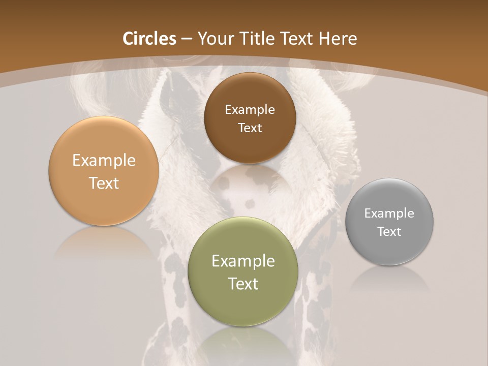 Fashion Clothes Male PowerPoint Template