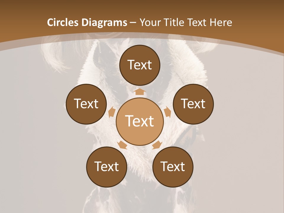 Fashion Clothes Male PowerPoint Template