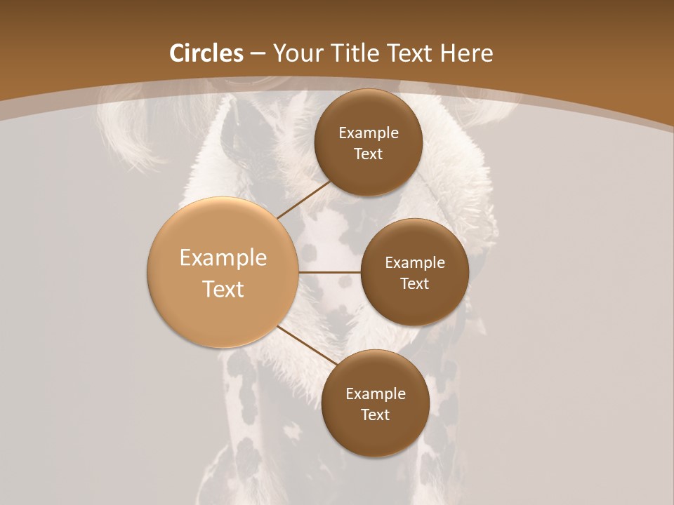 Fashion Clothes Male PowerPoint Template