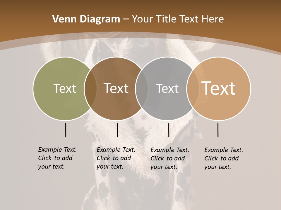 Fashion Clothes Male PowerPoint Template