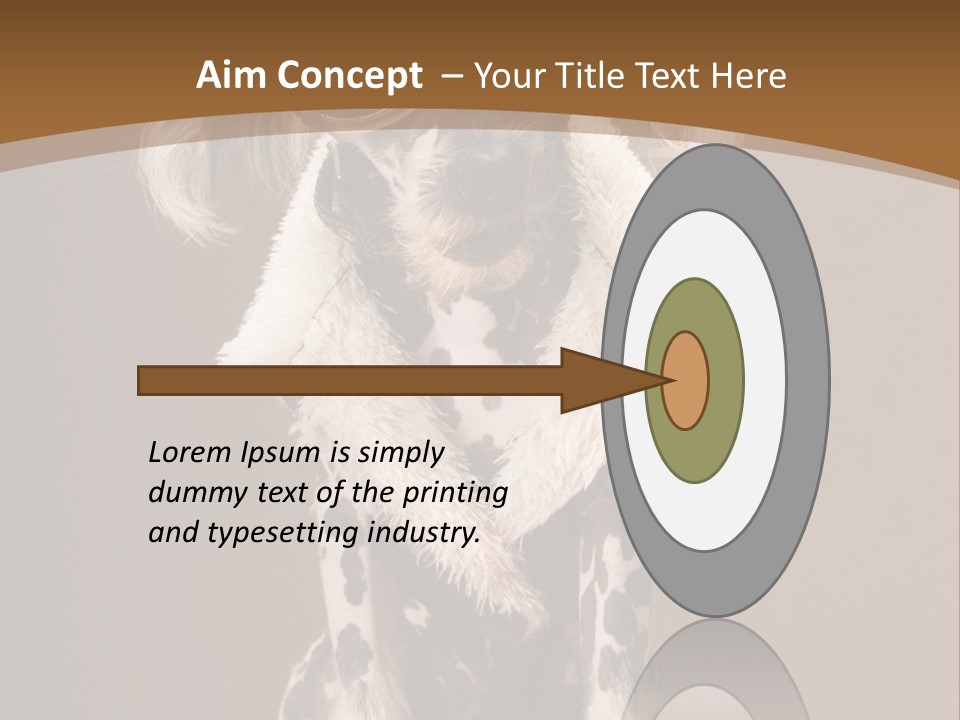 Fashion Clothes Male PowerPoint Template