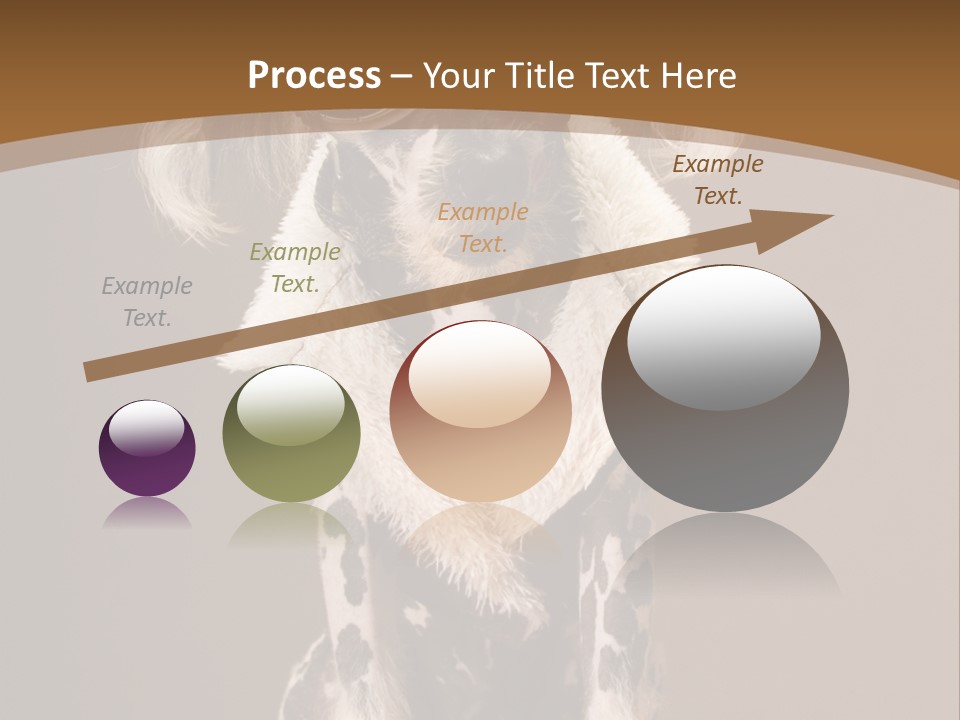 Fashion Clothes Male PowerPoint Template