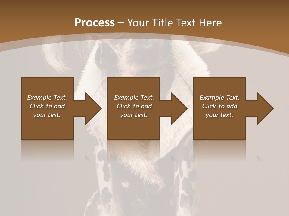 Fashion Clothes Male PowerPoint Template