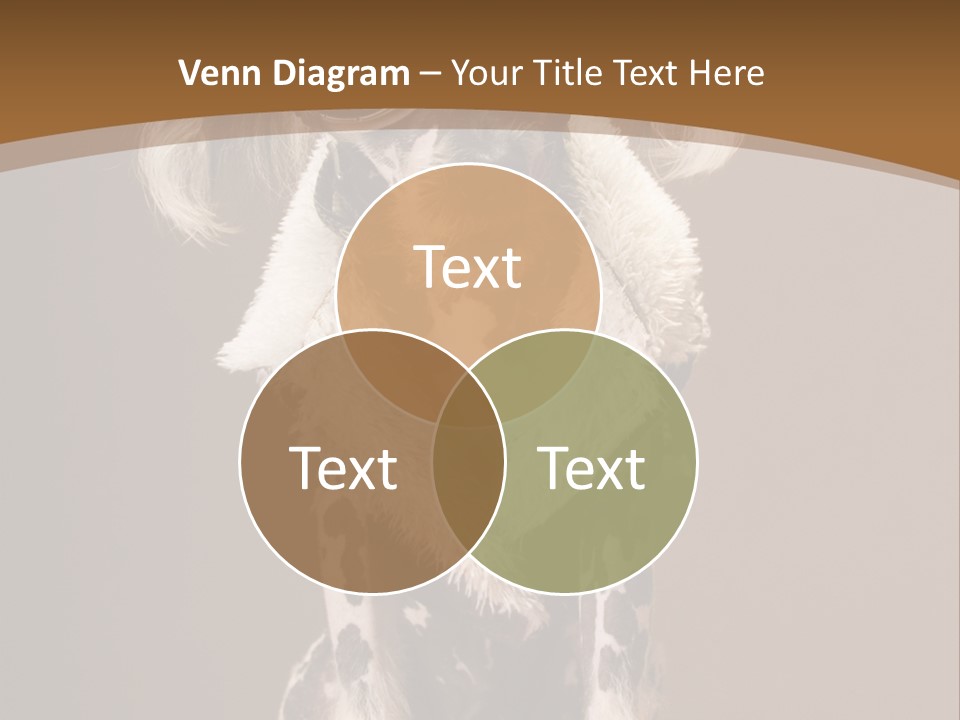 Fashion Clothes Male PowerPoint Template