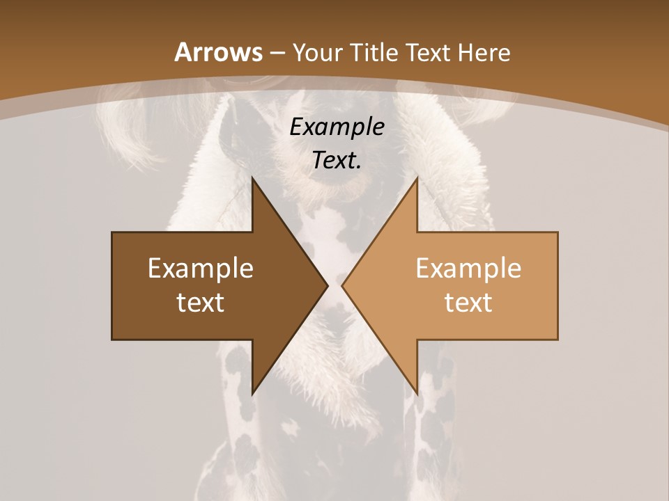 Fashion Clothes Male PowerPoint Template