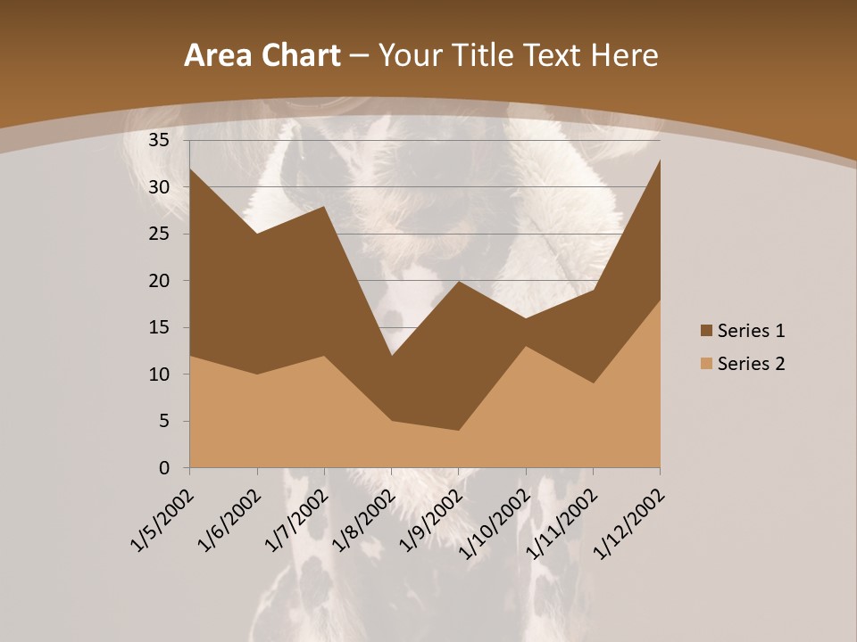 Fashion Clothes Male PowerPoint Template