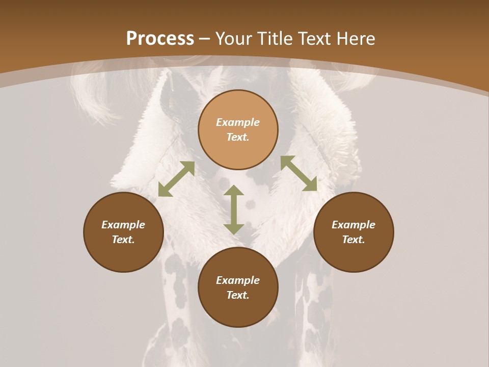 Fashion Clothes Male PowerPoint Template