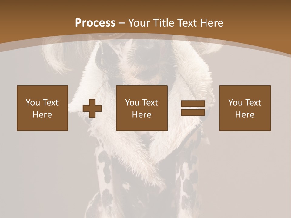 Fashion Clothes Male PowerPoint Template