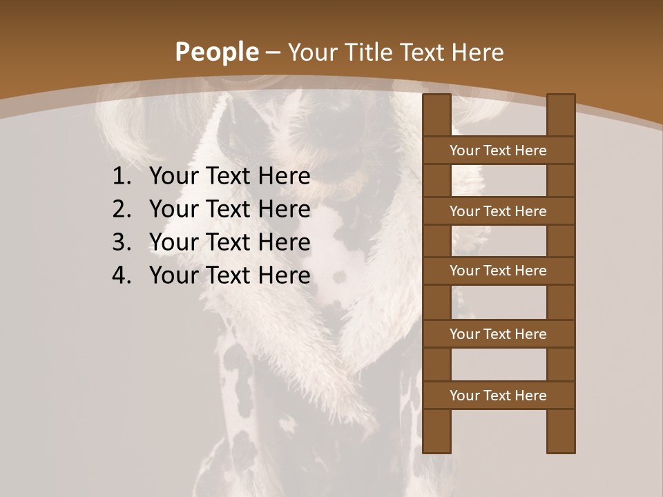 Fashion Clothes Male PowerPoint Template