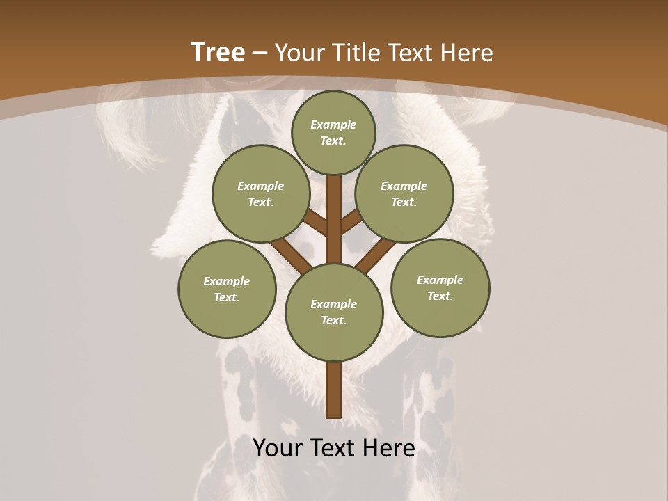 Fashion Clothes Male PowerPoint Template