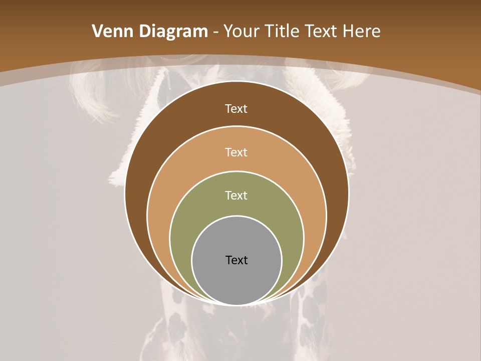 Fashion Clothes Male PowerPoint Template