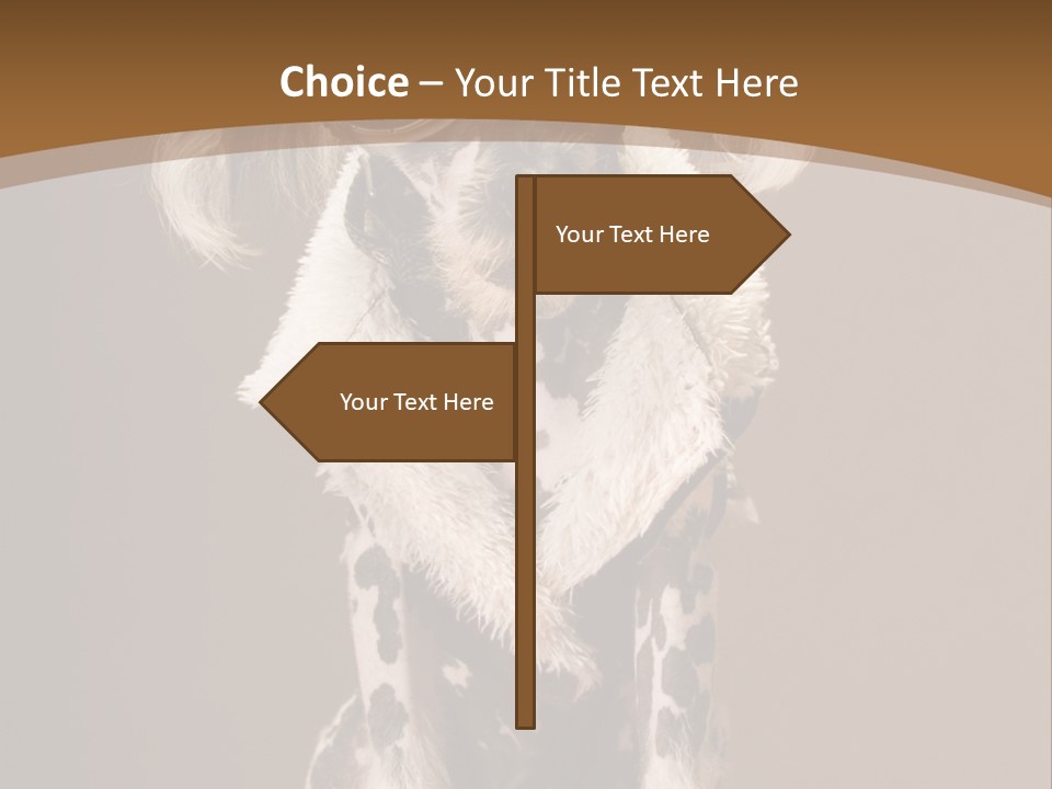 Fashion Clothes Male PowerPoint Template