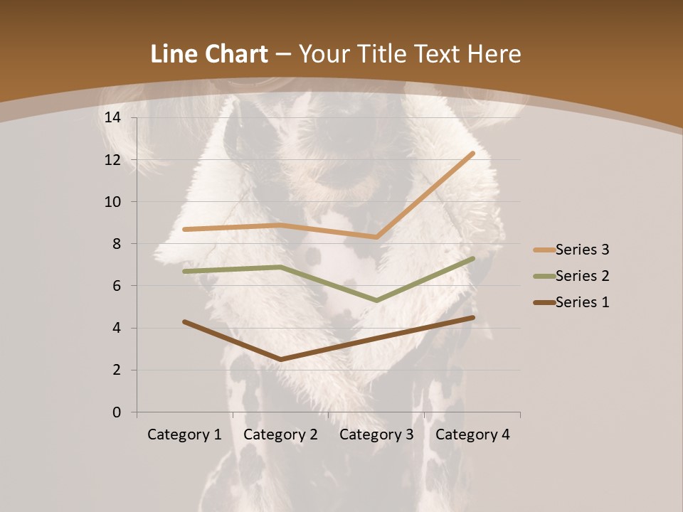 Fashion Clothes Male PowerPoint Template