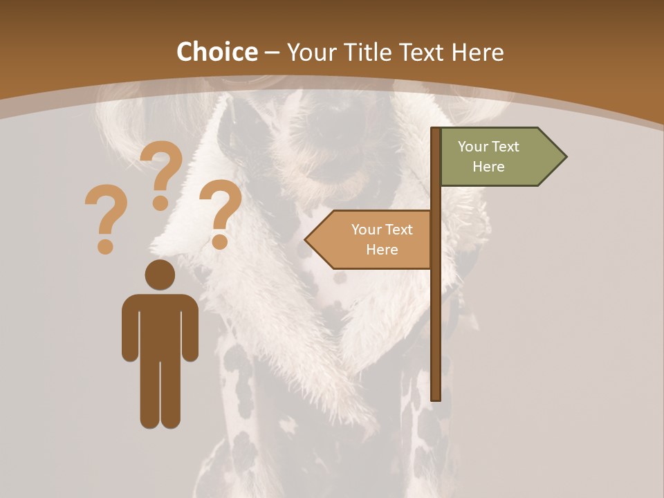 Fashion Clothes Male PowerPoint Template