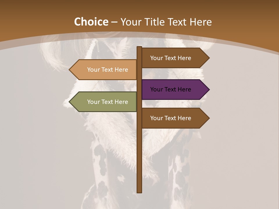 Fashion Clothes Male PowerPoint Template