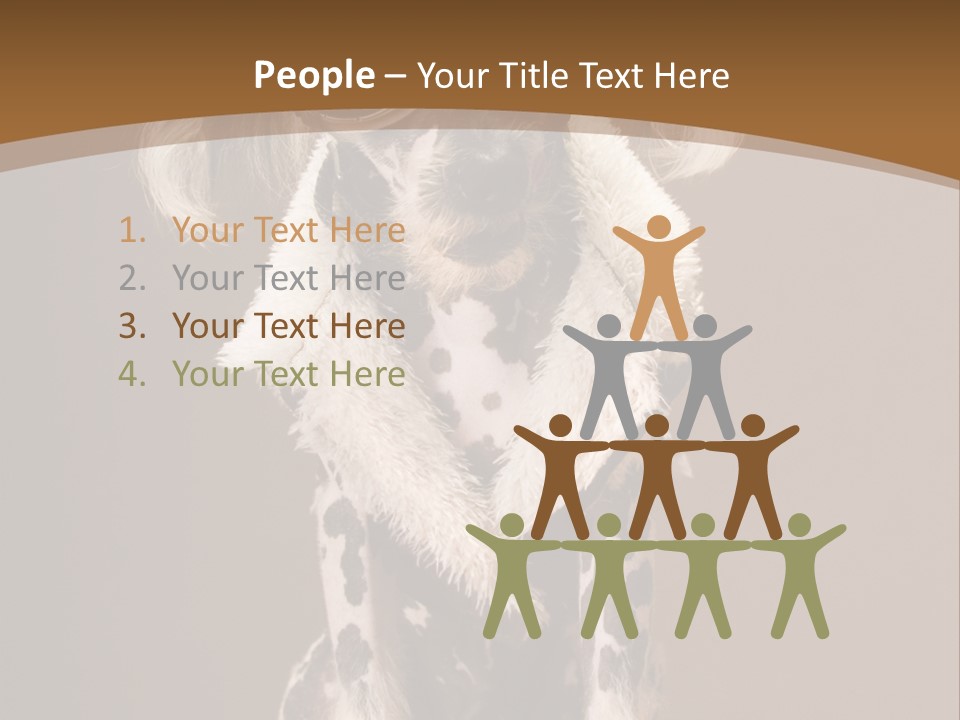 Fashion Clothes Male PowerPoint Template