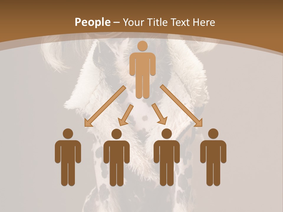 Fashion Clothes Male PowerPoint Template