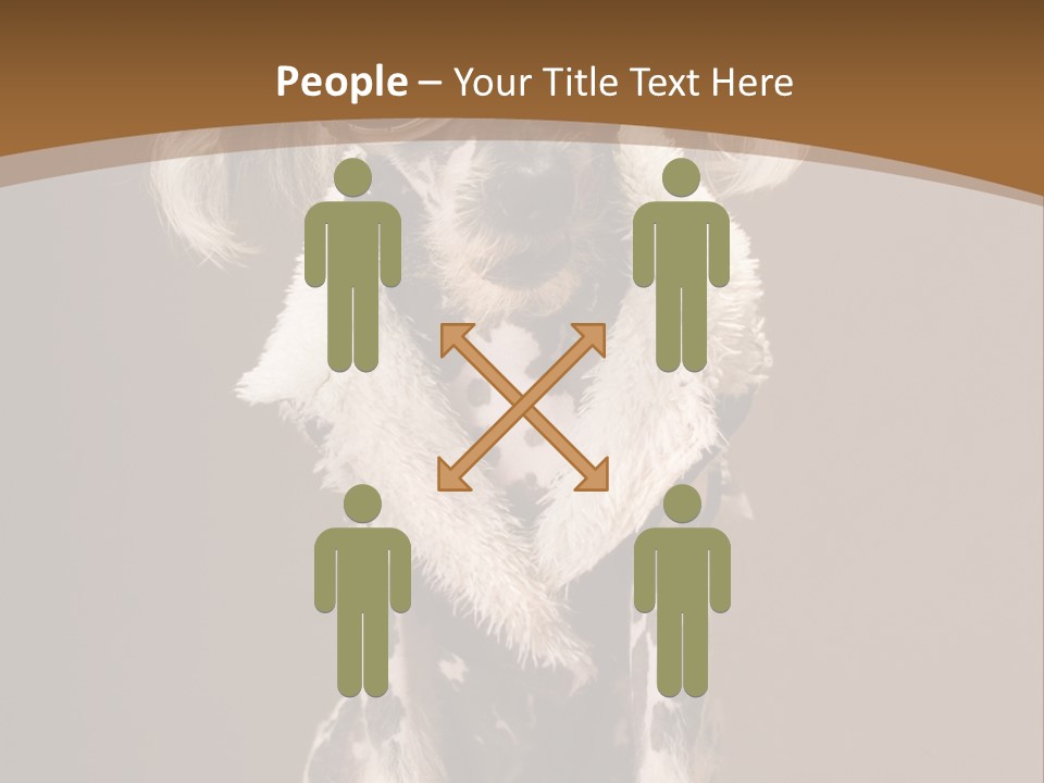 Fashion Clothes Male PowerPoint Template