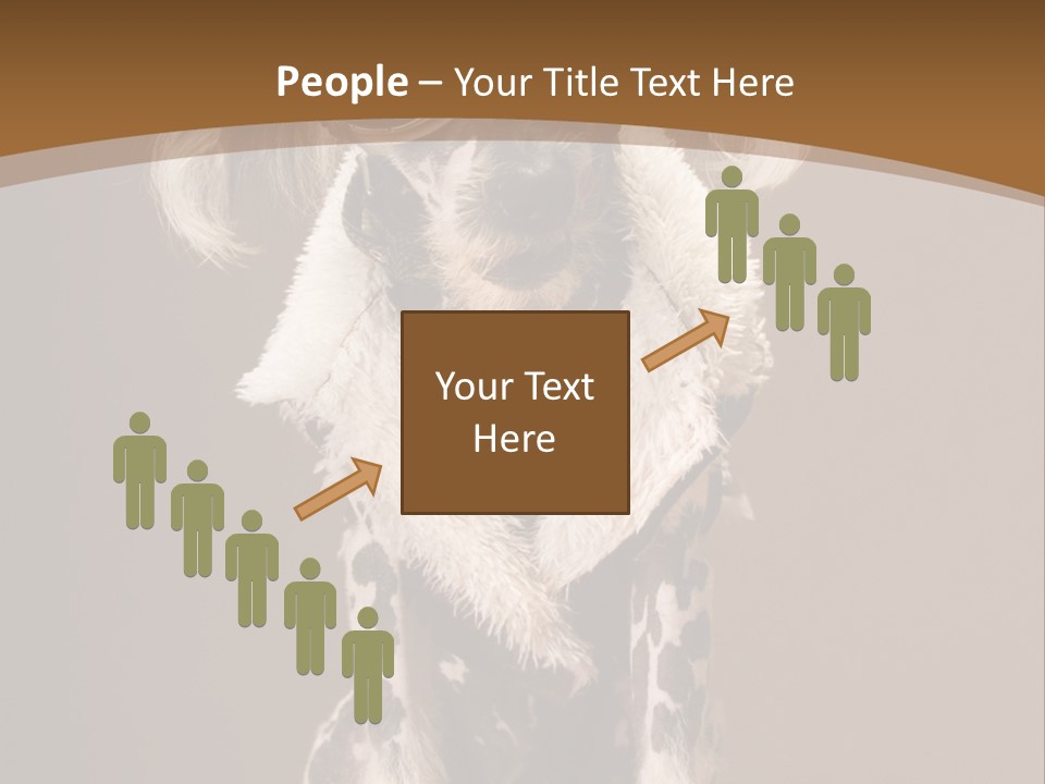 Fashion Clothes Male PowerPoint Template