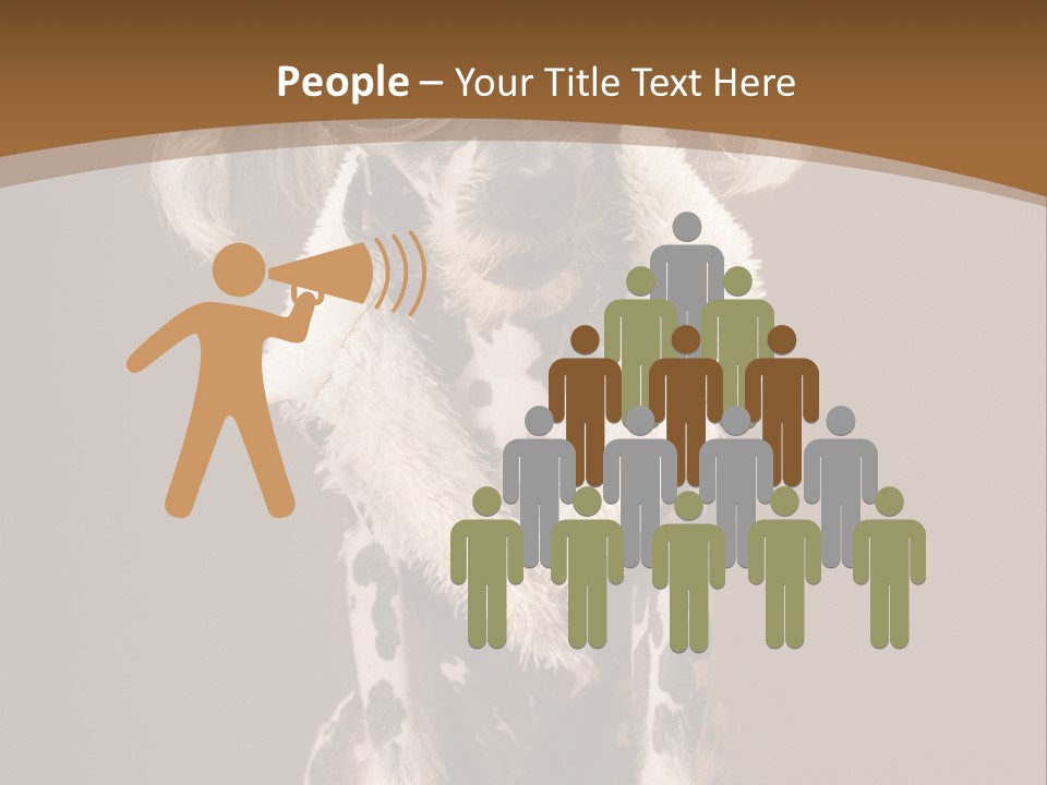 Fashion Clothes Male PowerPoint Template