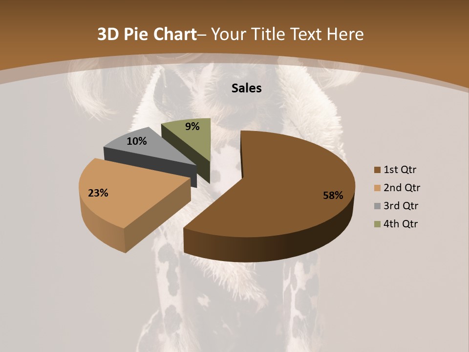 Fashion Clothes Male PowerPoint Template