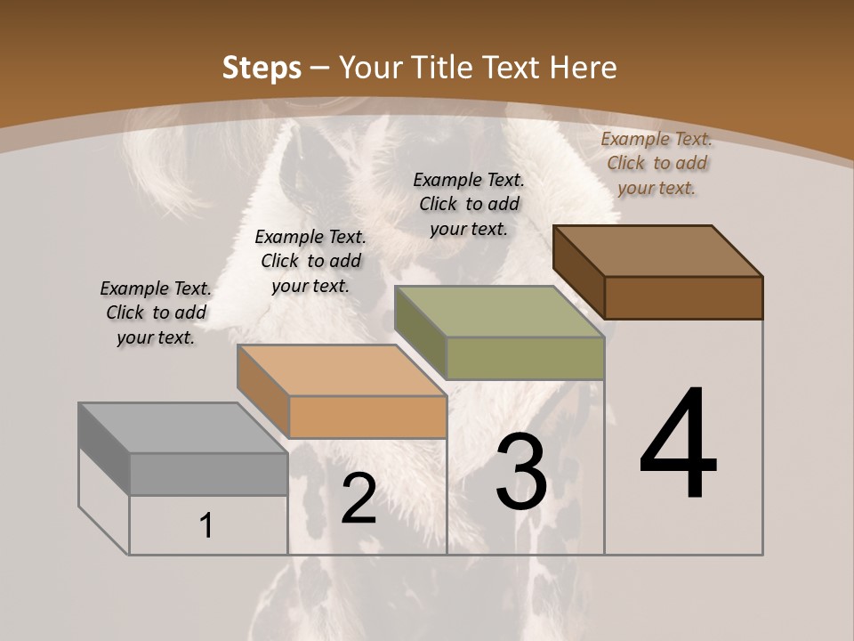 Fashion Clothes Male PowerPoint Template