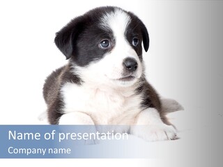 Eyes Toy Face PowerPoint Template