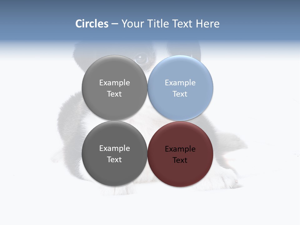 Eyes Toy Face PowerPoint Template