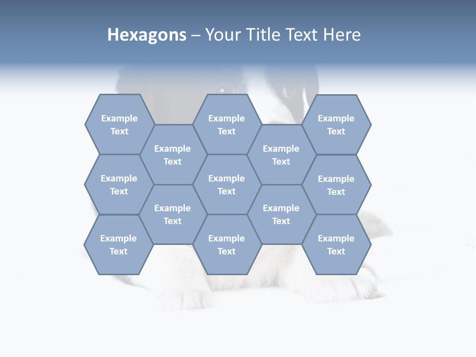 Eyes Toy Face PowerPoint Template