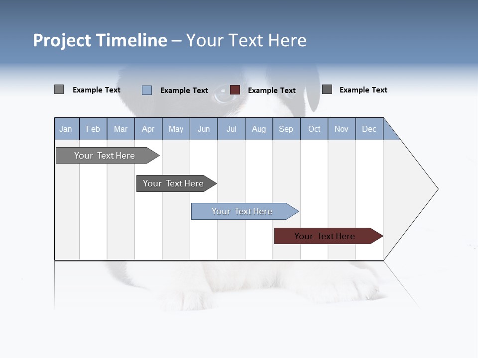 Eyes Toy Face PowerPoint Template